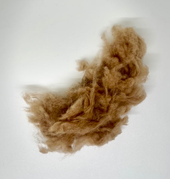 Camel Fiber